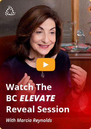 World Business & Executive Coach Summit -  bc sales video cover